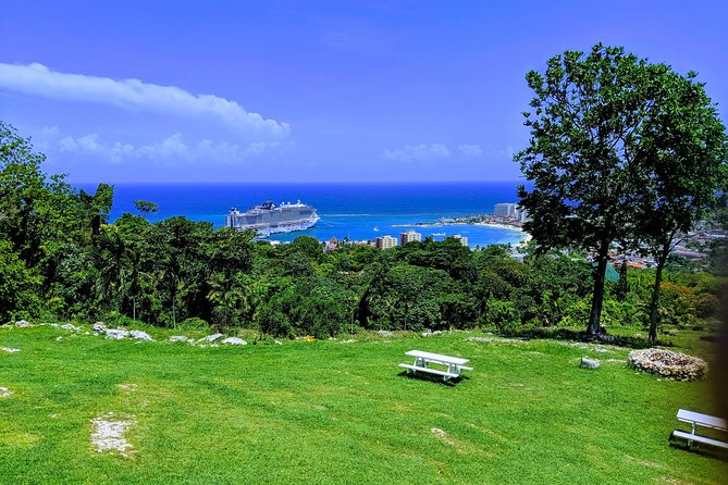 Private Ocho Rios highlight tour - Fern Gully: A Rainforest Drive That Breaks Up the Water Time