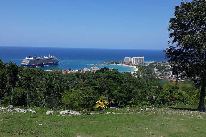 Private Sightseeing Tour from Ocho Rios - Why this private Ocho Rios drive feels calmer than a big tour