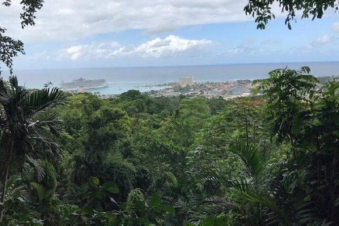 Private Sightseeing Tour in & Around Ocho Rios - Getting picked up right (and not losing your day)