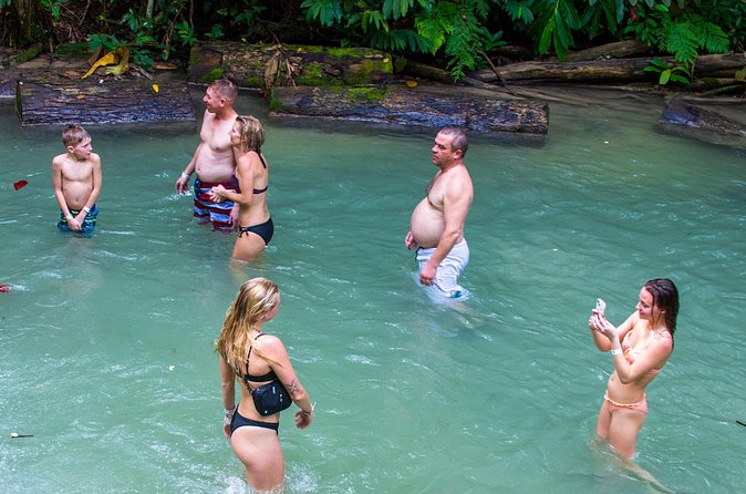 Private Tour - Dunn's River Falls and Ocho Rios Experience from Ocho Rios - Price and value: what $136.50 per person really buys you