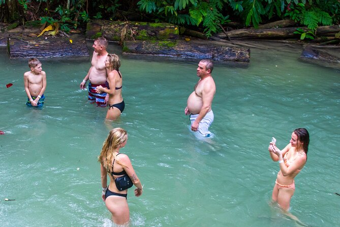 Private Tour - Dunn's River Falls and Ocho Rios Experience from Ocho Rios - Fern Gully stop: short rainforest walk, free admission, and easy guidance
