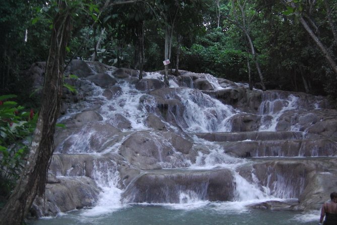 Private Tour From Ocho Rios To Dunn's River Falls - Meeting Your Driver: A Small Tip That Prevents Big Stress