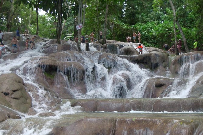 Private Tour From Ocho Rios To Dunn's River Falls - Who This Tour Fits Best (And Who Might Want Another Option)