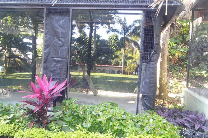 Private Tour From Ocho Rios To Konoko Falls And Garden and Shopping - Climbing the Waterfall for a Birds-Eye Look