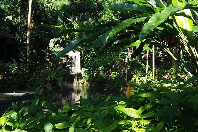 Private Tour From Ocho Rios To Konoko Falls And Garden and Shopping - What to Bring (Water Shoes, Towels) and How to Dress
