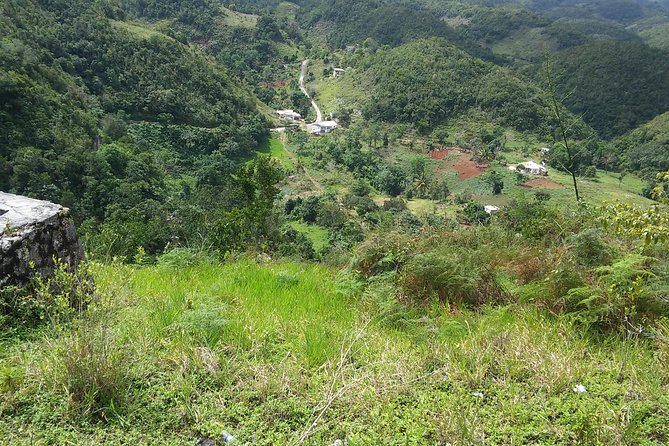 Private Tour Ocho Rios or Runaway Bay To 9 Mile Bob Marley Birth & Resting Place - Inside Nine Mile: music time, albums, and a drink break