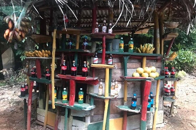 Private Tour of Bob Marley House from Ocho Rios - Timing and How You’ll Spend the Rest of Your Day