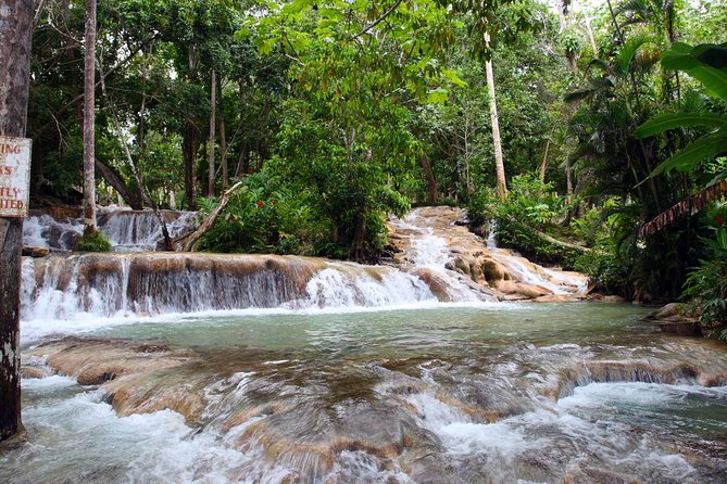 Private Tour to Dunn's River Falls From Ocho Rios - Key highlights worth knowing