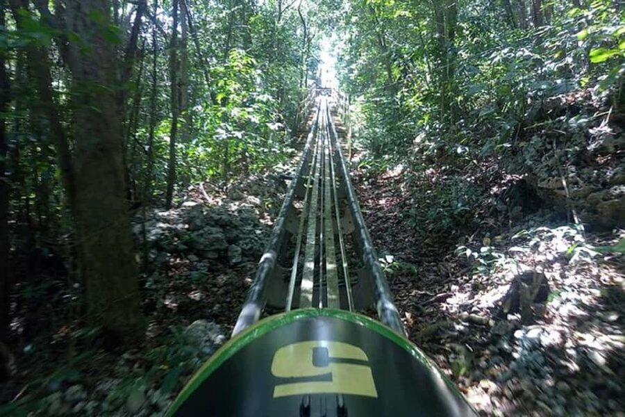 Rainforest Bobsled Mystic Mountain transportation - What to Pack and What to Watch for