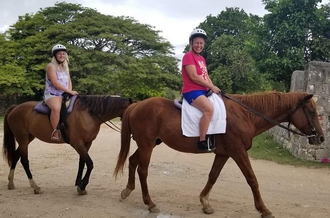 Sand n Saddle Horseback Ride & Swim Tour from Runaway Bay - Price and logistics: Is $193.50 a good value?