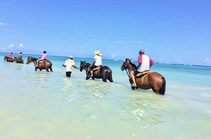 Secret Falls, Blue Hole, and Horseback Riding from Ocho Rios - Where Secret Falls Fits In (and How to Confirm It)