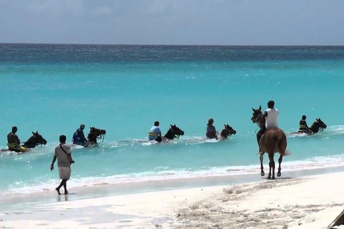 Secret Falls, Blue Hole, and Horseback Riding from Ocho Rios - The Blue Hole Swim: Fun Water Time With a Weather Footnote