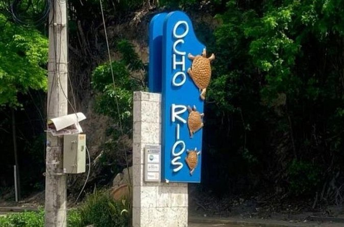 Sightseeing Tour in Ocho Rios - Stop 4: St Ann’s Bay horseback riding setup and waiver moment