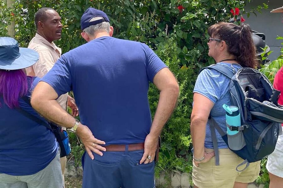 Taste of Jamaica Farm & Food Tour - Produce beds, coffee plants, and animals: farm life beyond the herbs
