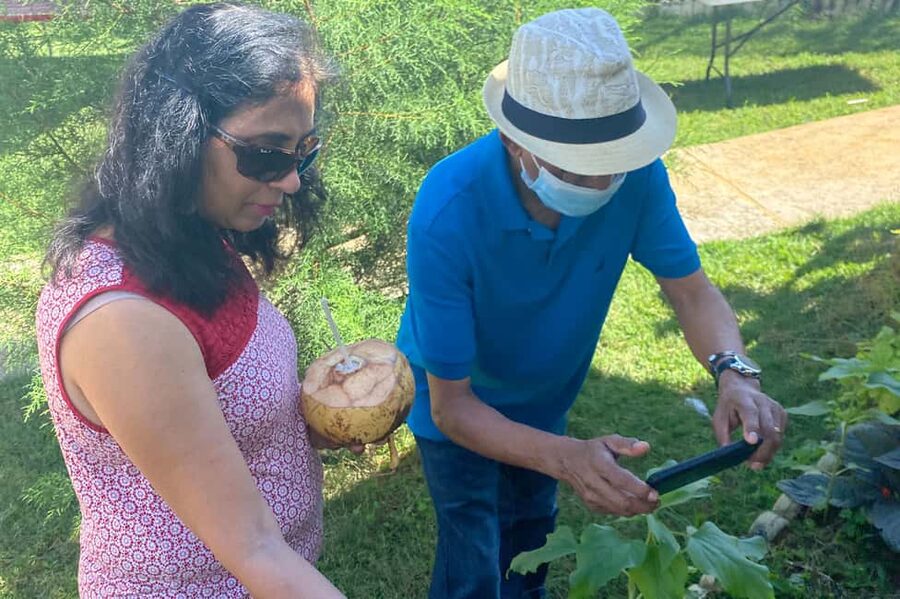 Taste of Jamaica Farm & Food Tour - Rain or shine: how to dress so the day stays comfortable
