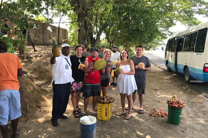 Taste of Jamaica Food Tour from Ocho Rios - Fruit stand tasting: how to slow down and actually taste