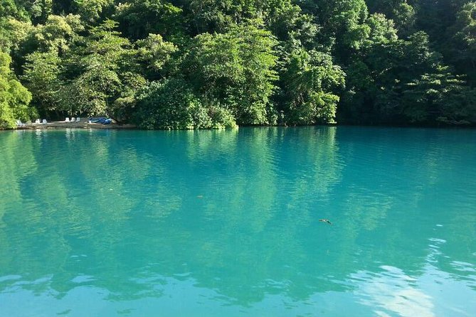Tour to Fern Gully and Konoko Falls and Park - Fern Gully and Konoko Falls: the half-day Jamaica plan that fits real life