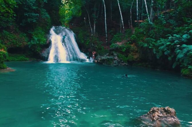 VIP Dunn River Falls and Blue Hole Experience - Private, air-conditioned transport with a certified JUTA driver