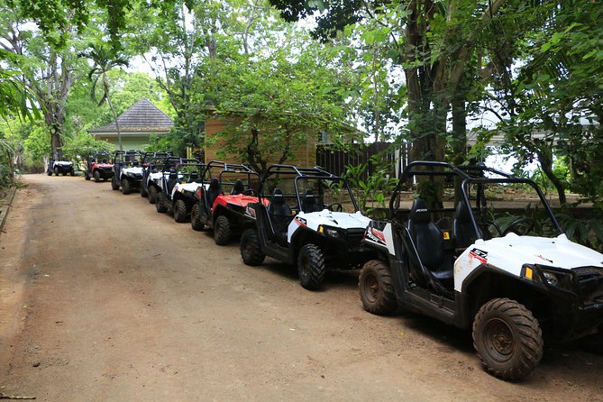 Wet n Dirty ATV Outback Adventure From Ocho Rios - Caribbean Sea viewpoints and the photo-stop rhythm