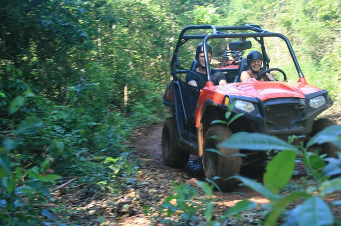 Wet n Dirty ATV Outback Adventure From Ocho Rios - Fruit sampling, medicinal plants, and famous-visitor trees